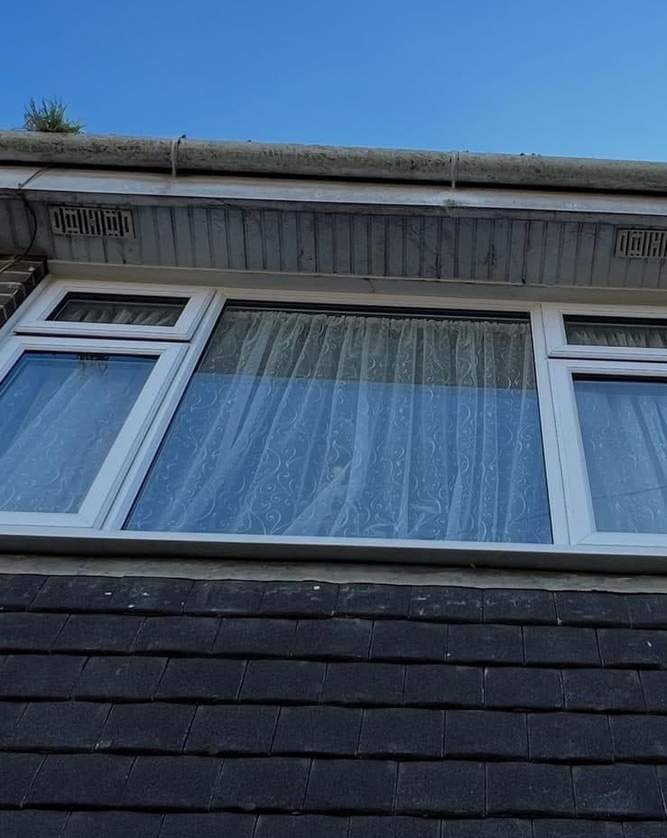 Dirty fascia and gutter with grass growing out before cleaning