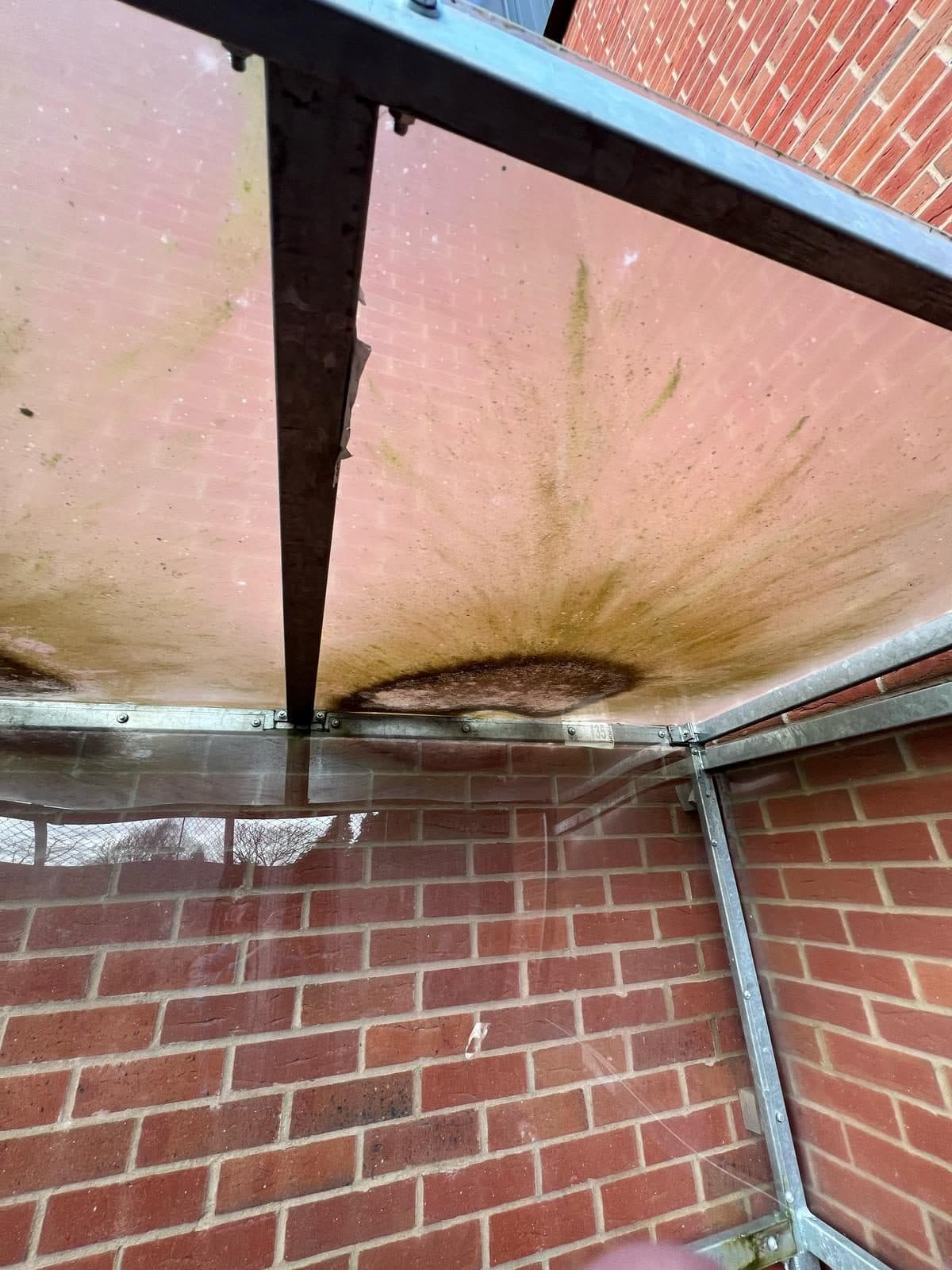 Glass entrance canopy covered in algae before cleaning