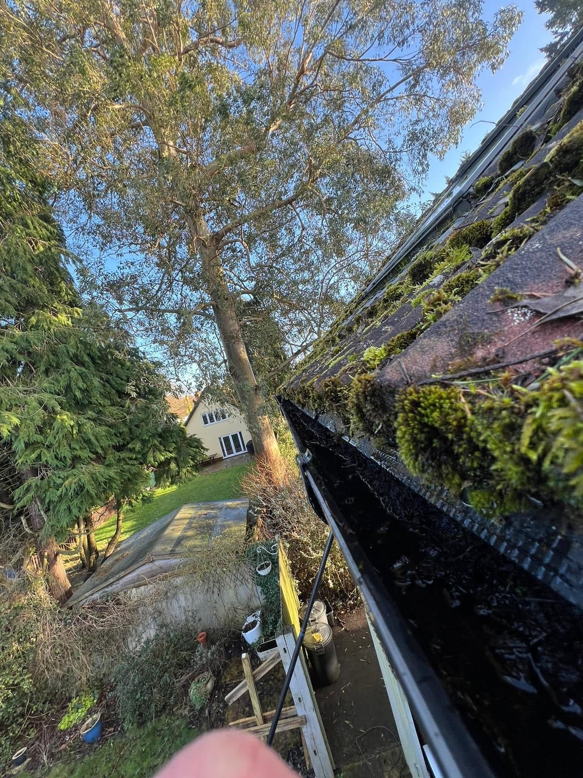 Clearing thick moss and debris from a blocked gutter