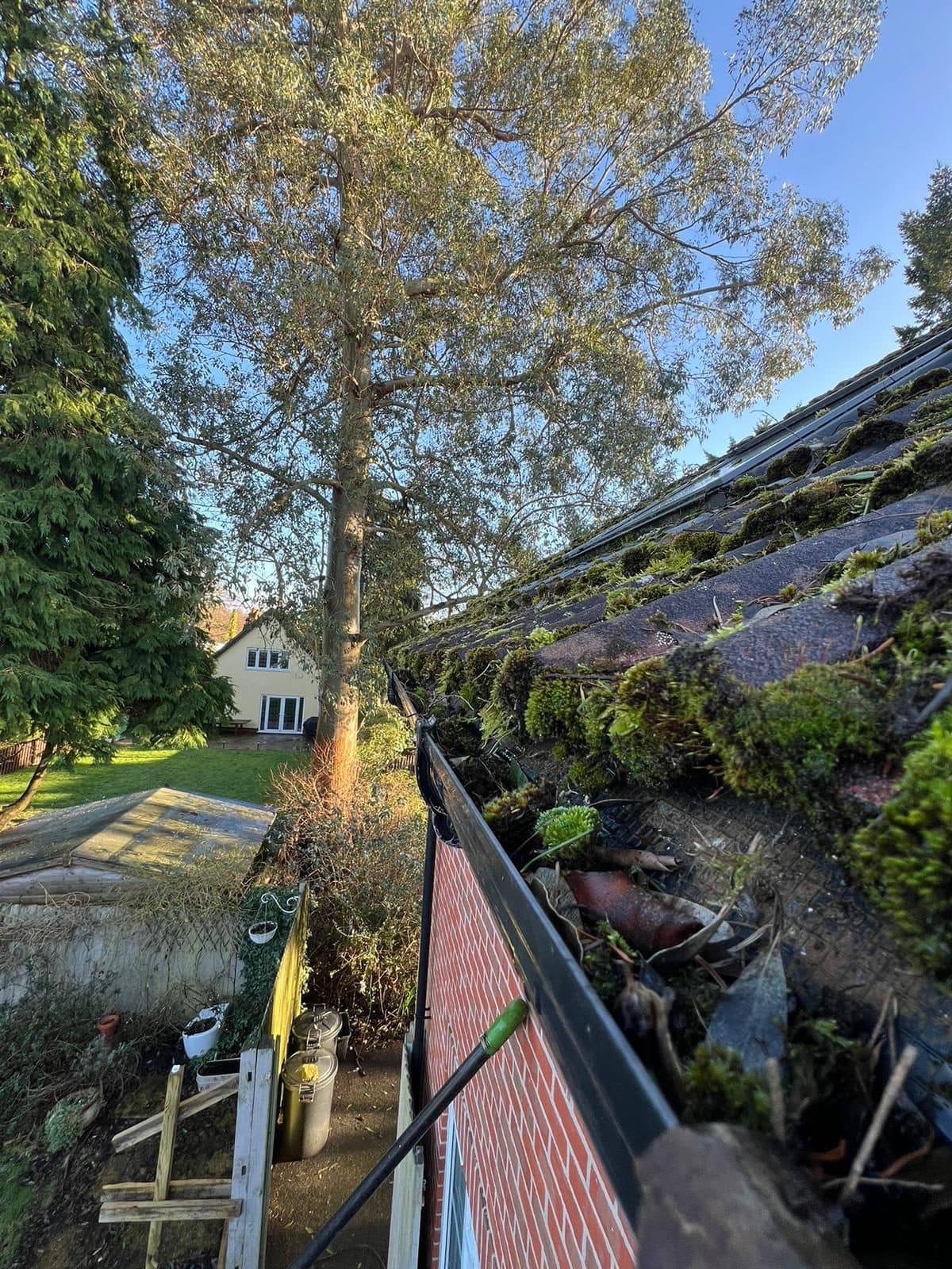 Moss-filled gutter before clearing — the kind of job we handle safely